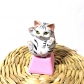 Dropshipping 3D Artisan ESC Keycap for Mechanical Keyboard Anime Cartoon Decoration Translucent Personalized Keycaps Cute Cat